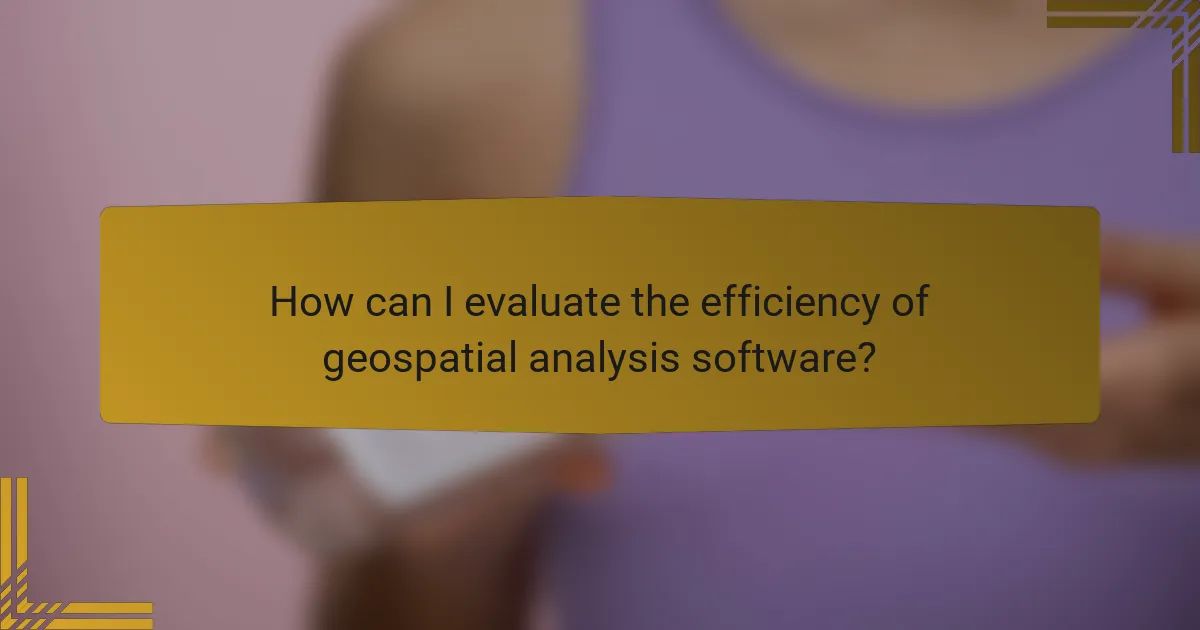How can I evaluate the efficiency of geospatial analysis software?