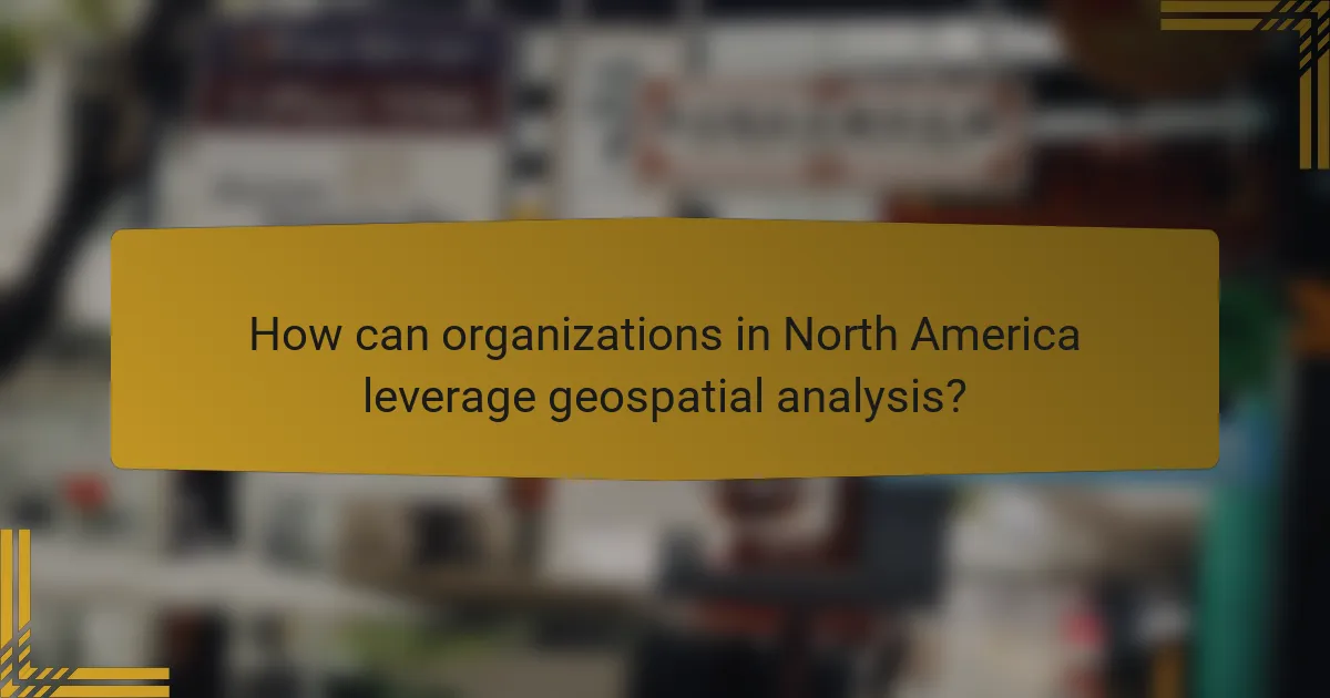 How can organizations in North America leverage geospatial analysis?