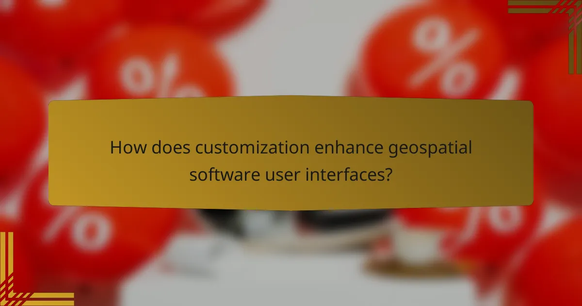 How does customization enhance geospatial software user interfaces?
