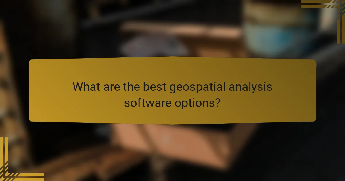 What are the best geospatial analysis software options?