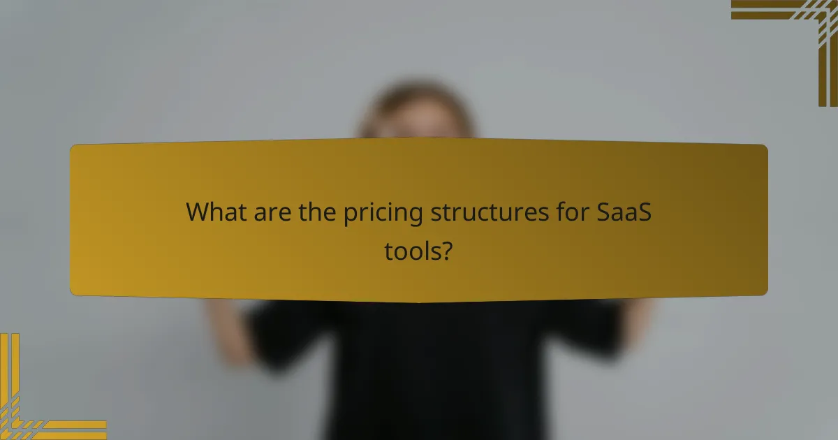 What are the pricing structures for SaaS tools?